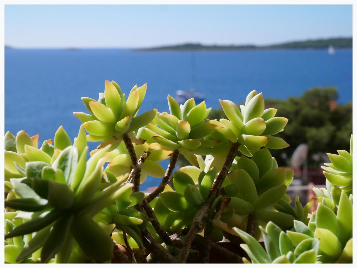 The Peninsula Daire Primošten Dış mekan fotoğraf